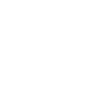 M65 SEO Agency